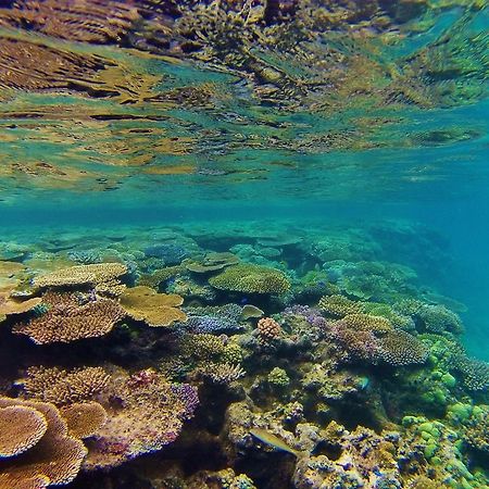 Mai Dive' Astrolabe Reef Resort Naqarawalu エクステリア 写真