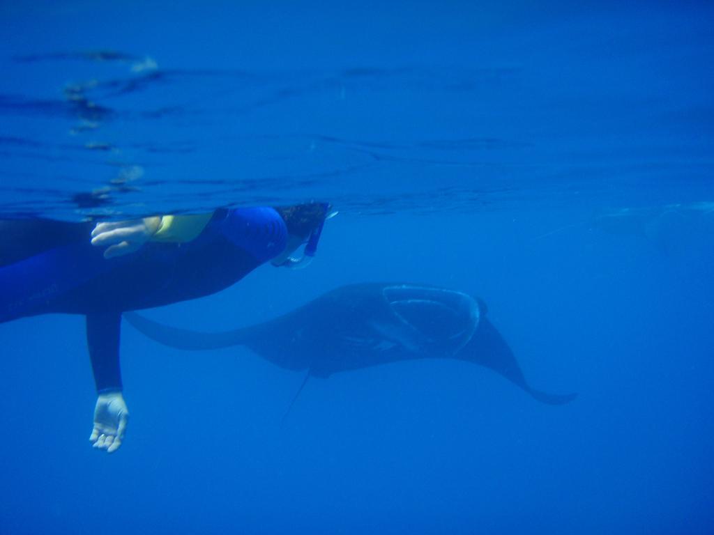 Mai Dive' Astrolabe Reef Resort Naqarawalu エクステリア 写真