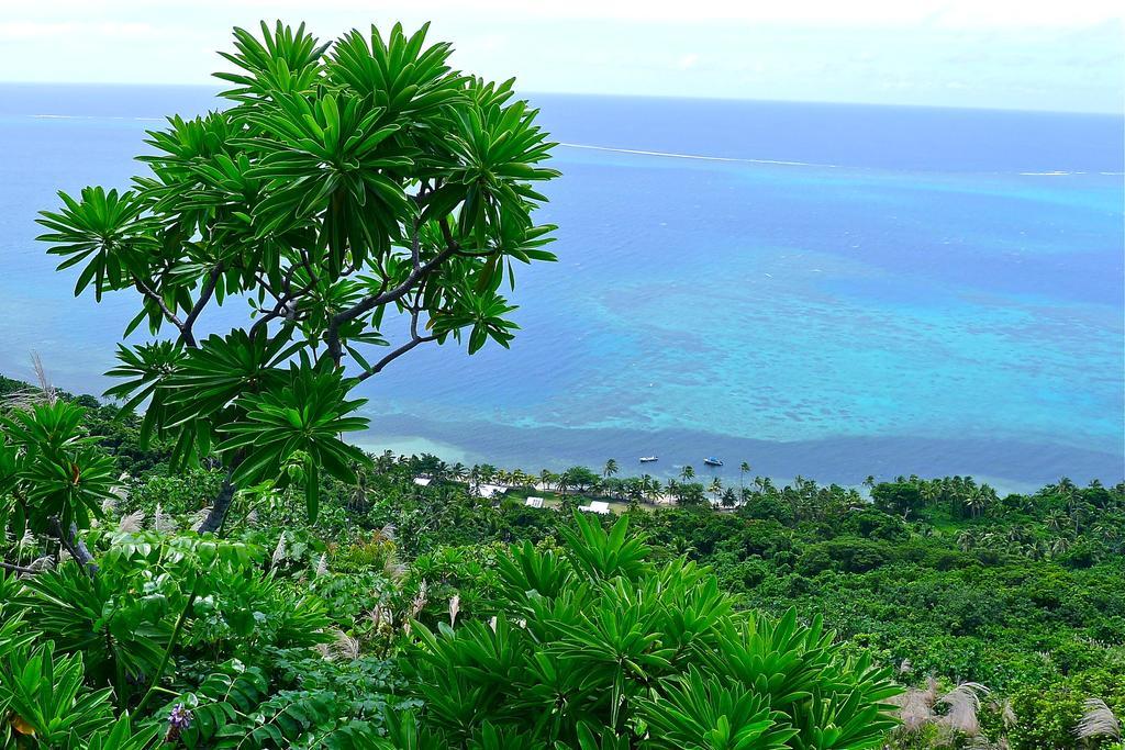 Mai Dive' Astrolabe Reef Resort Naqarawalu 部屋 写真