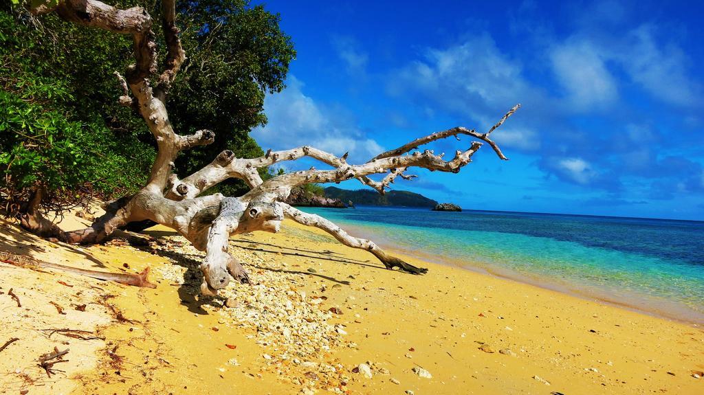 Mai Dive' Astrolabe Reef Resort Naqarawalu エクステリア 写真