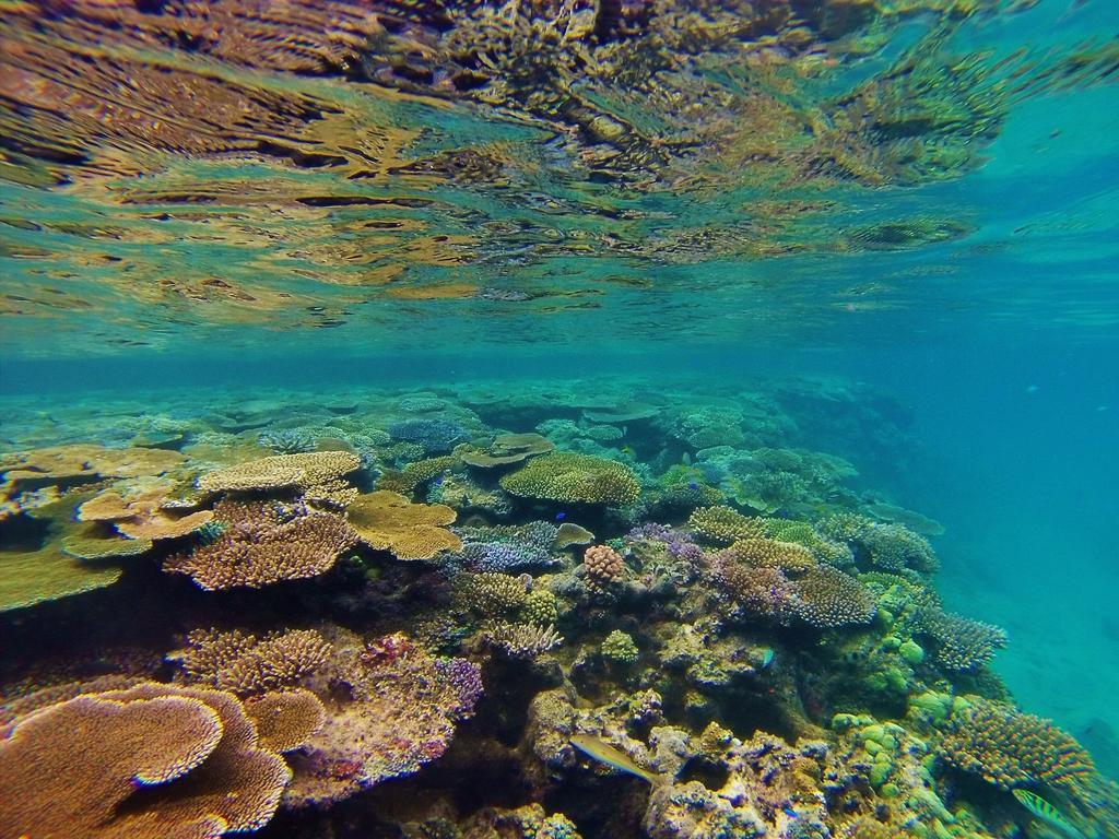 Mai Dive' Astrolabe Reef Resort Naqarawalu エクステリア 写真