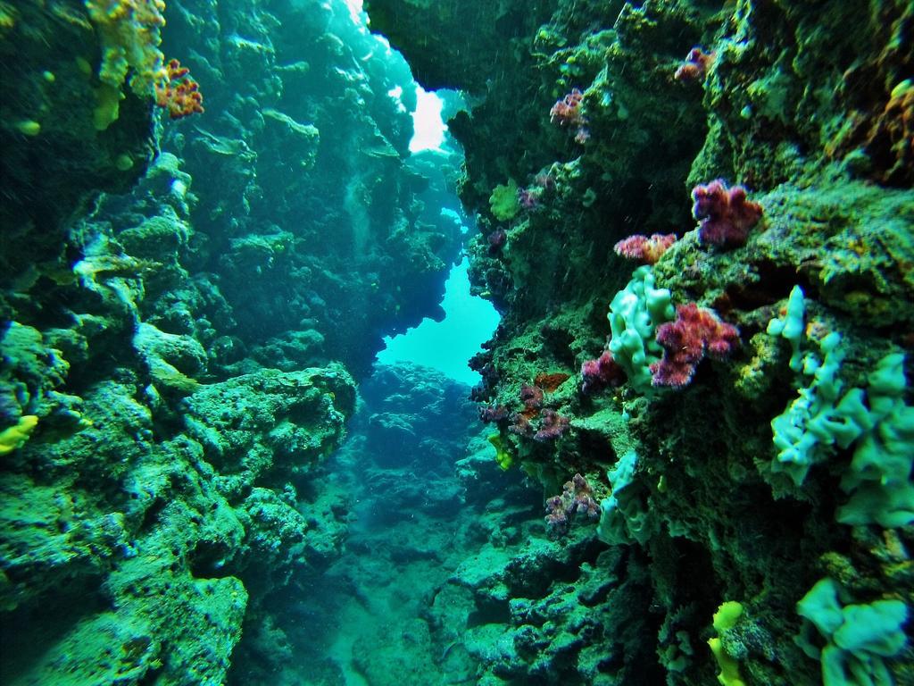 Mai Dive' Astrolabe Reef Resort Naqarawalu エクステリア 写真
